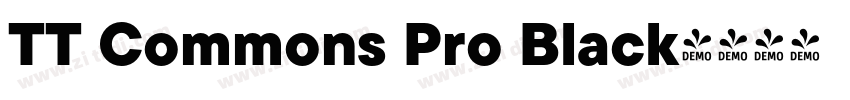 TT Commons Pro Black字体转换